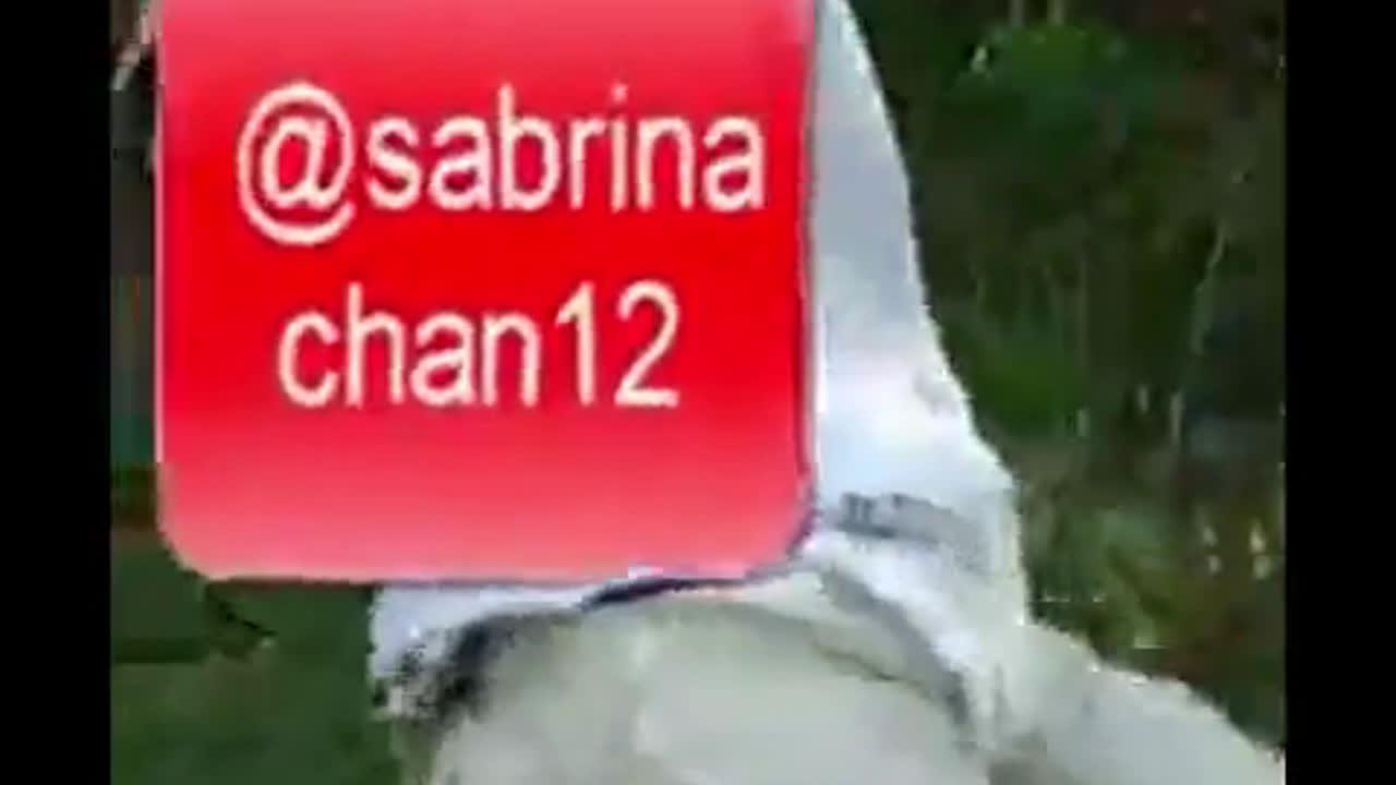 sbrnchn10