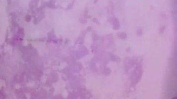 Bokep Indo Gadis 19yo Jilbab Hitam Joget Binal